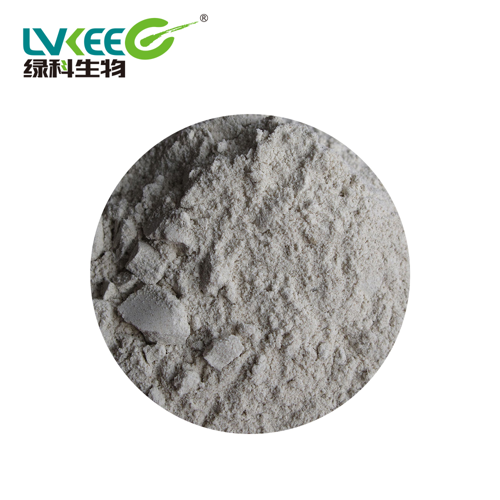 Высококачественный bacillus mucilaginosus для улучшения посадки почвы