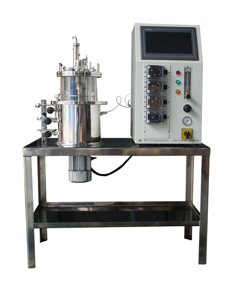 Лабораторная микробная культура fusarium sambucinum fermentor bioreactor