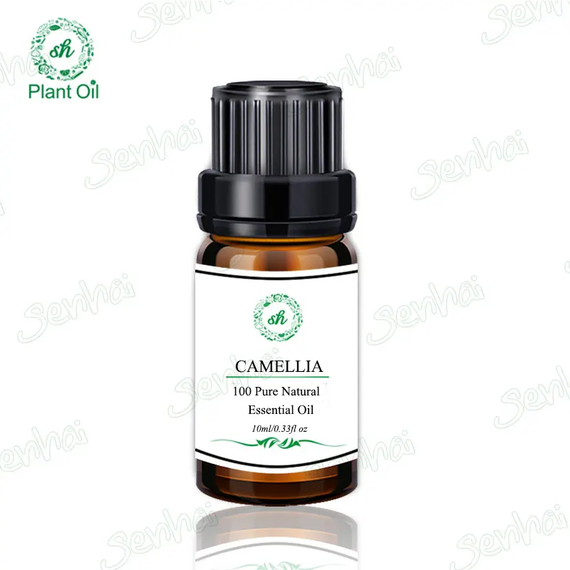 Factory Pure and Natural Camellia Seed Oil for Skin Best Price