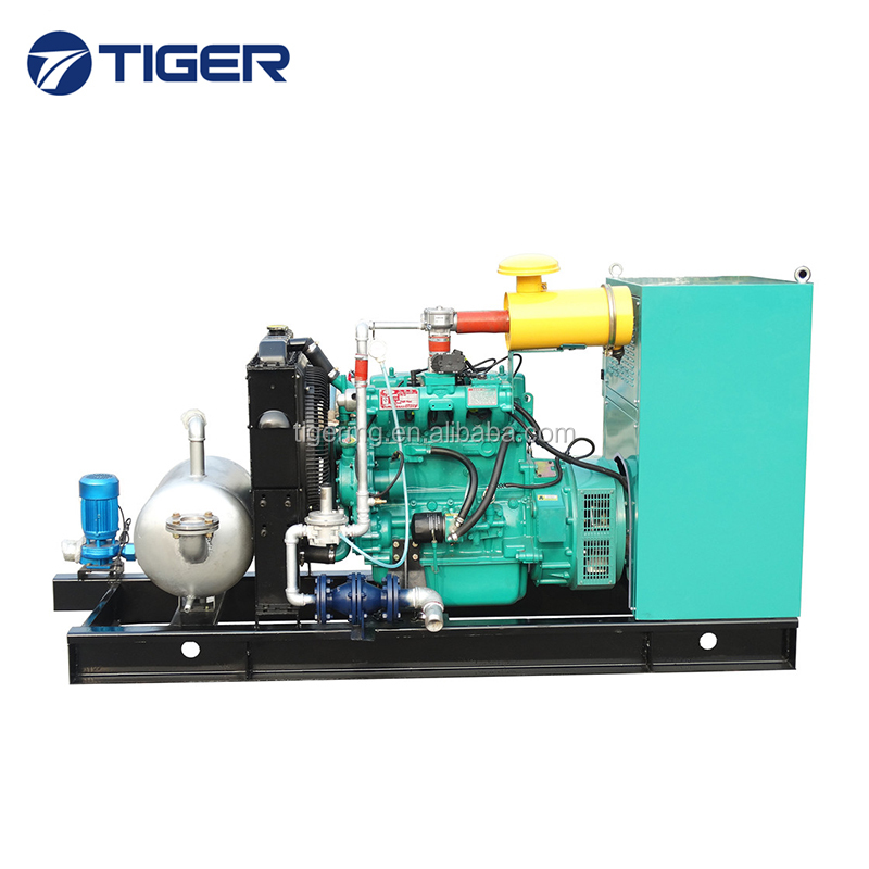 Китай лучшее качество 30kw 40KW 50kw 80kw 100kw 120KW 160kw lpg Газовый Генератор