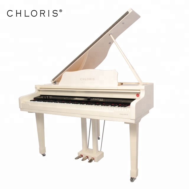 CHLORIS самый популярный детский белый грандиозный цифровой пианино цена CDG-1200W