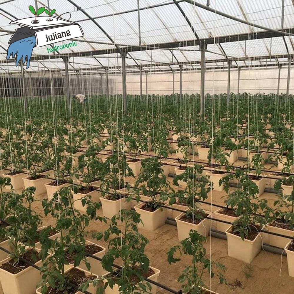 Коммерческий голландский ковш для теплиц DWC
