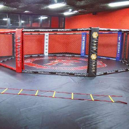 Восьмиугольные боевые клетки jaula ufc MMA Grappling