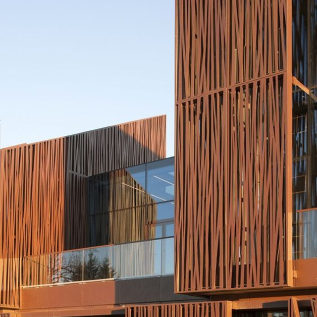Прочный стальной лист corten A перфорированная металлическая облицовочная панель
