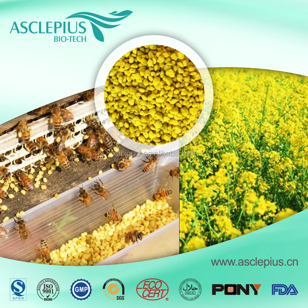 High quality organic fresh 100% natural rape bee pollen