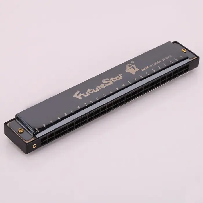 24 Holes Harmonica Professional With Harmonica Case