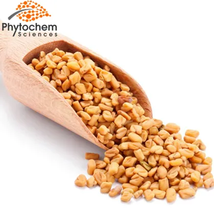 High quality fenugreek seed extract 20% 4-hydroxyisoleucine by HPLC