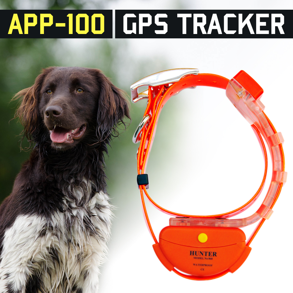 Собачий ошейник с GPS-трекером для охоты