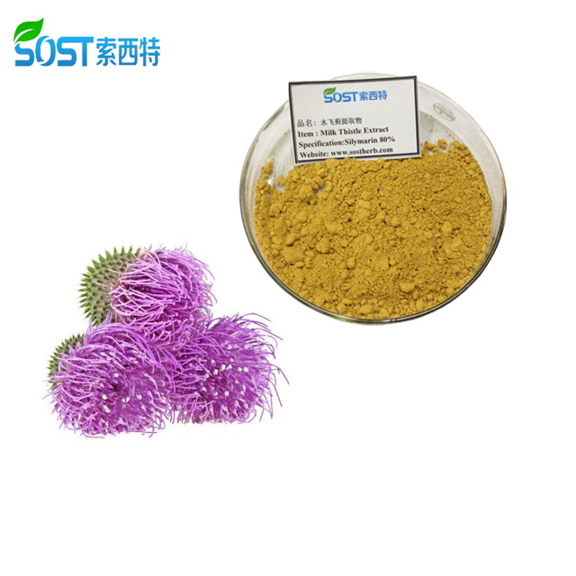 SOST Biotech Organic Milk Thistle Extract 80% Silymarin Tablet