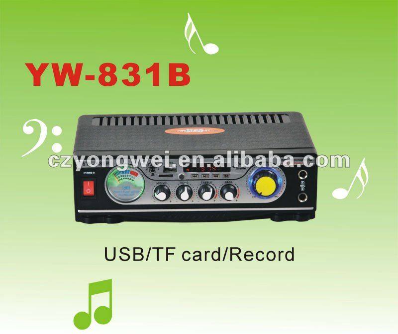 YW 831B kalaok автомобильный усилитель с функцией записи 12 В и 220 В