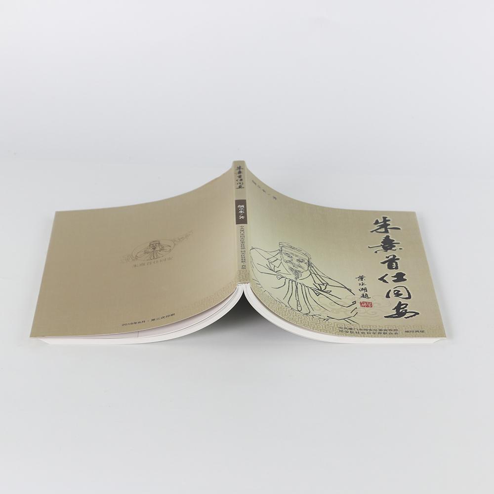 Новые горячие продажи пользовательские книги печать с перфорацией