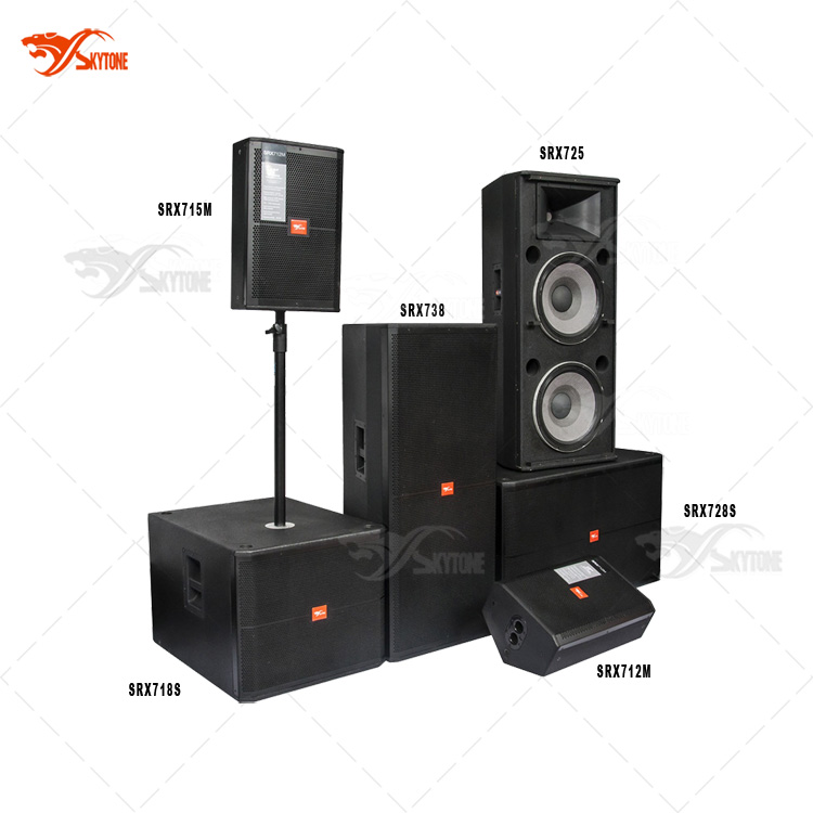 Skytone SRX700 Dj звуковая система цена, профессиональные динамики и громкоговоритель