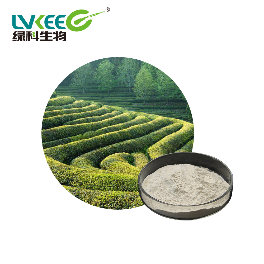 Hot selling Bacillus laterosporus for agricultural cultivation with high quality