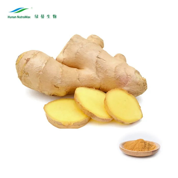 Plant Extract Ginger Root Extract Powder Water Soluble
