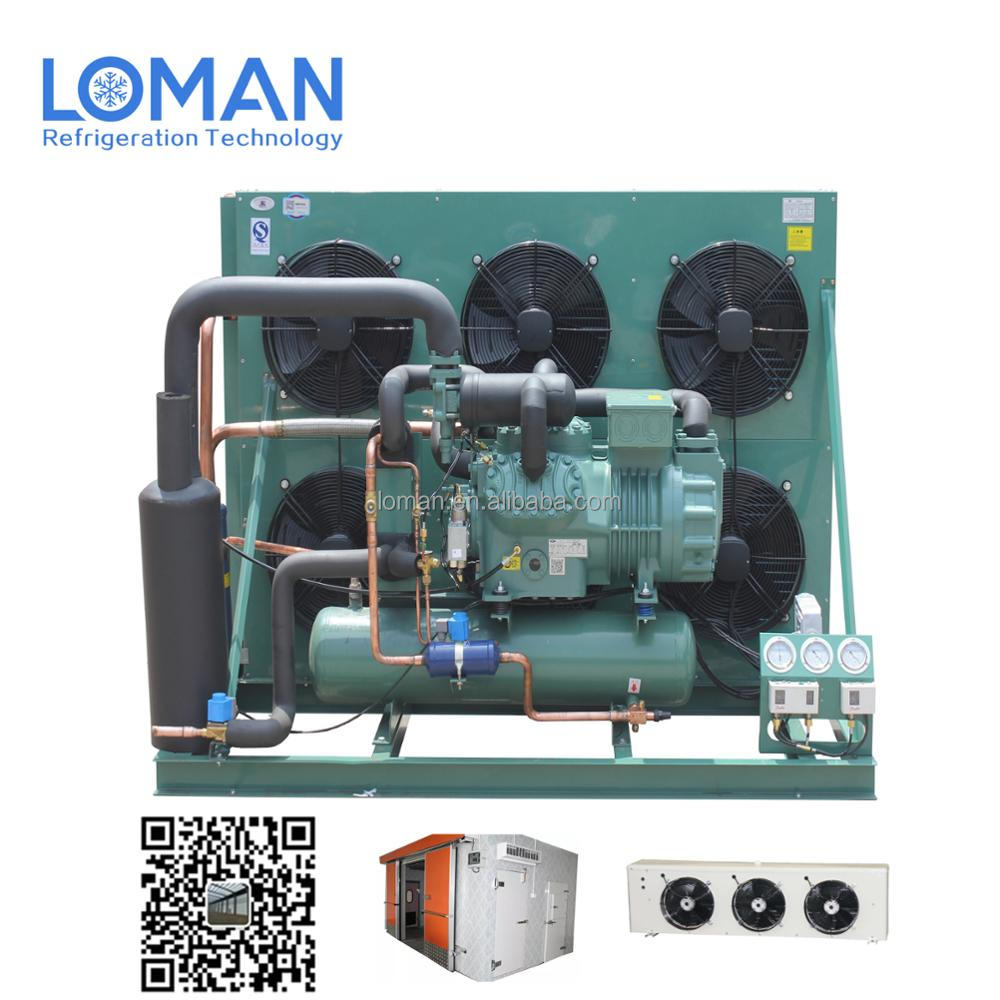 Bitzer 2 stages compressor Blast freezer condensing unit