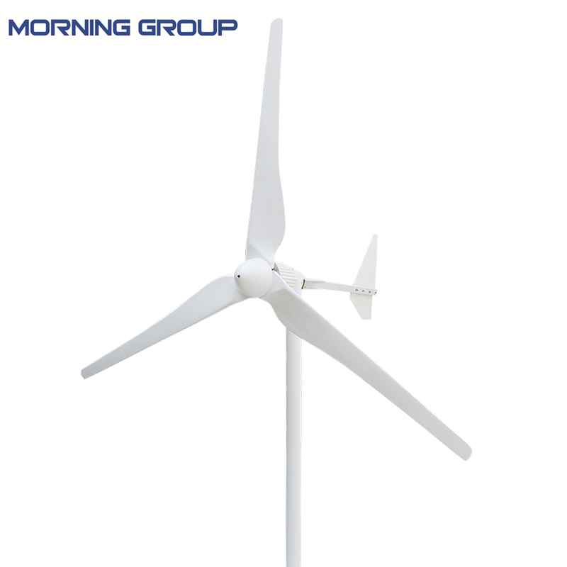 L Series 1kw 2kw Wind Generator Turbine 48V 96V Windmill with Glass Fiber Reinforced Plastics Blades