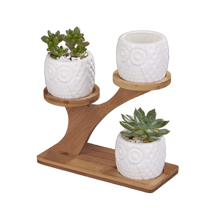 Decorative Small Owl Succulent Cactus Flower Plant Pot with Tree Tier Bamboo Stand