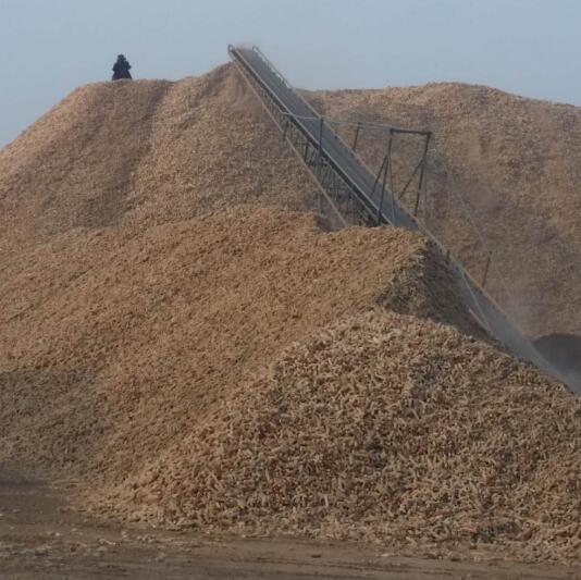Оптовая продажа кукурузы початка еды для грибов 14% макс влаги, произведенной в Китае