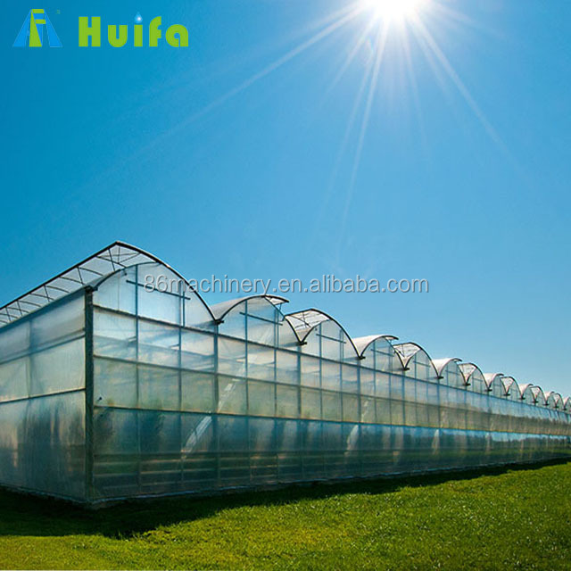Plastic Film Covered Sawtooth Tropical Greenhouse for sale