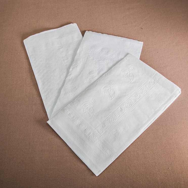 dinner napkin embroidered fold serviette