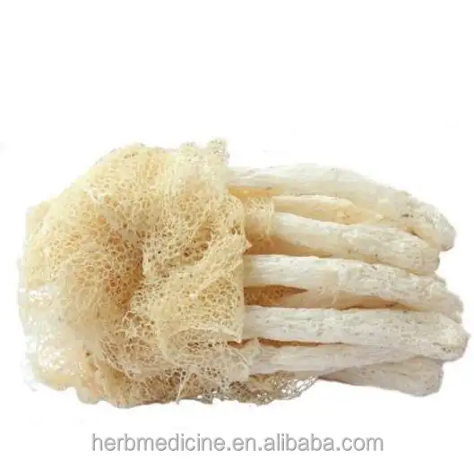 Loose packing dried fungus for food Long Net Stinkhorn Dictyophora pholloides Desv