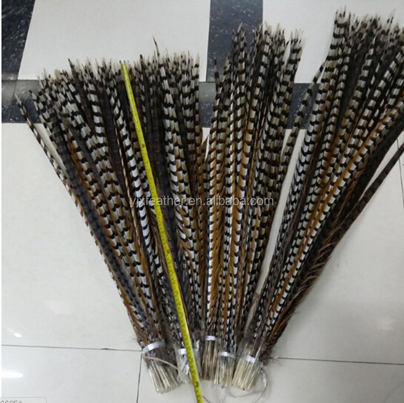 140-150cm chinese reeves pheasant tail large decorative feather