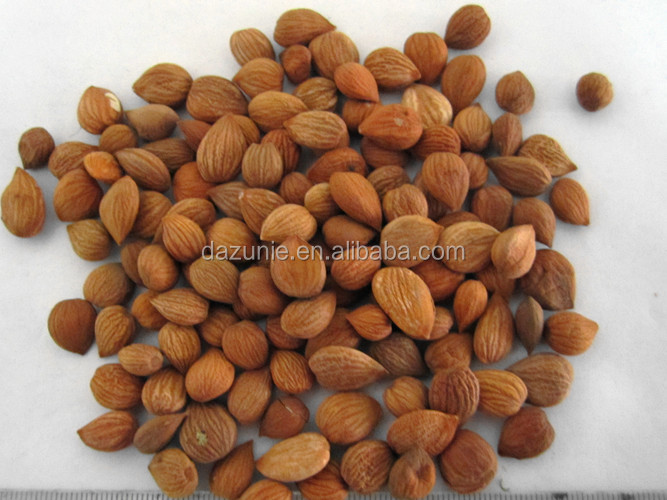 Bitter Apricot Kernel