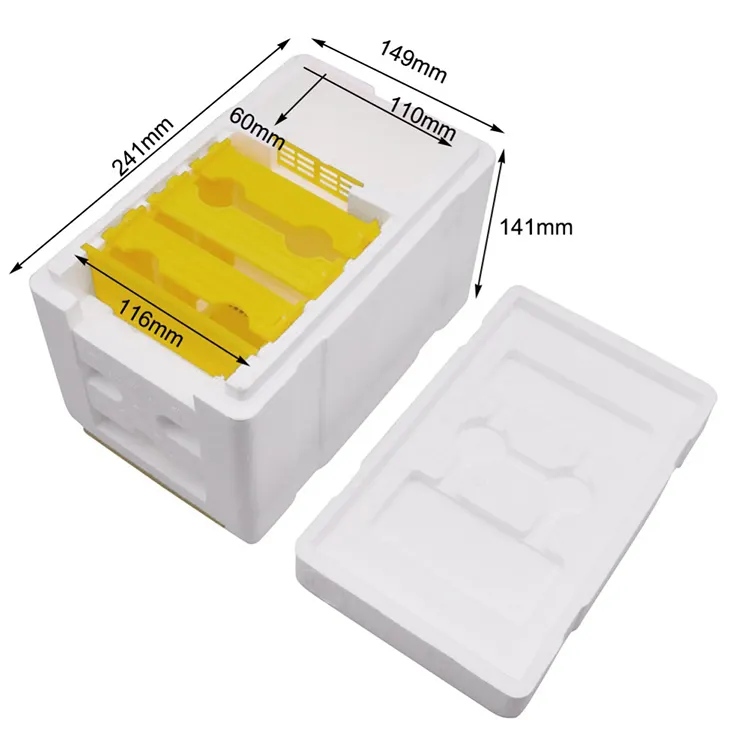 Benefitbee Plastic box for bee Honey Queen Bee Hive Nuc Box Mini bee Mating Boxes