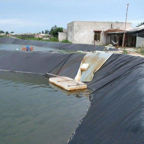 Hdpe пластиковая мембрана пленка для аквакультуры Рыбный Пруд Подкладка