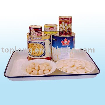 Canned Water Chestnuts