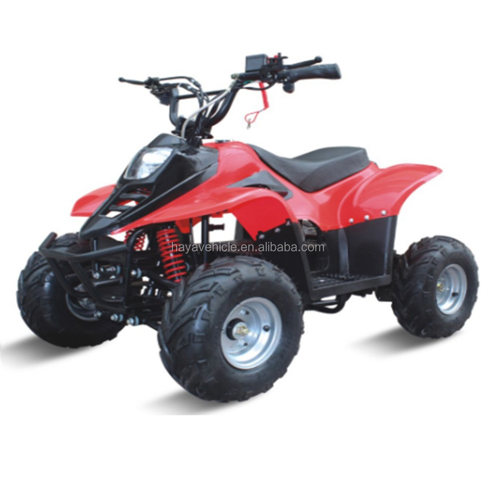 48v 500w Electric Mini ATV