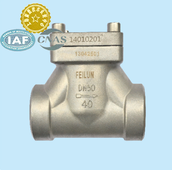 DN10,50 ISO бренд feilun SS304 DN50 фланец криогенный обратный клапан для жидкого газа