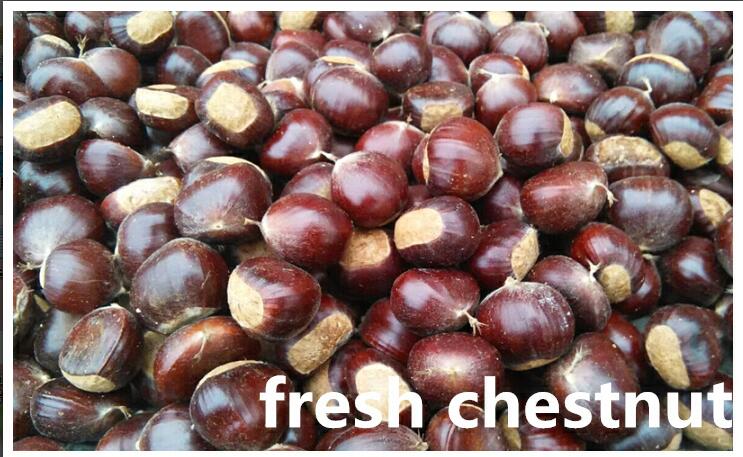 Snacks food, roasted peeled chestnuts for sale