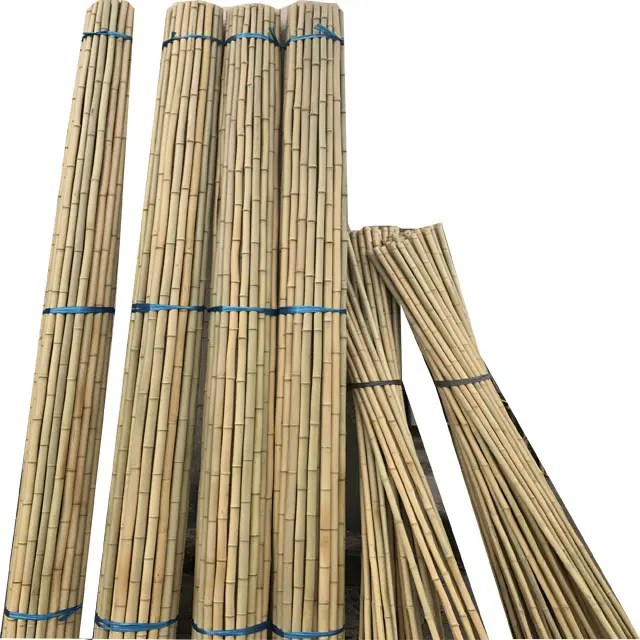 bamboo for plant growing