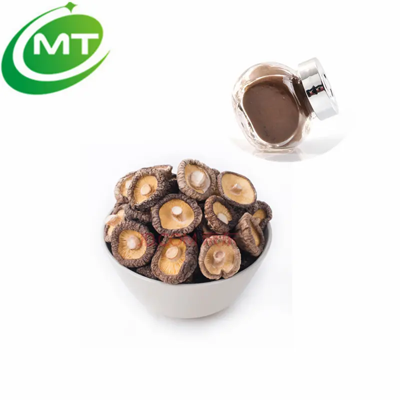 High quality pure natural Shiitake Mushroom Extract Powder