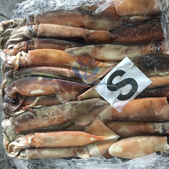 Морепродукты, замороженный серебристый кальмар Illex 200-300 г