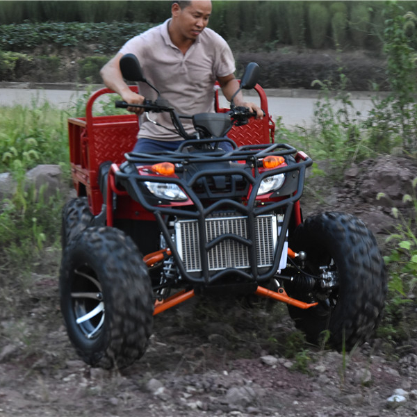 Atv 250cc/300cc/500cc/800cc 4x4 quad bike ztr trike roadster 250cc
