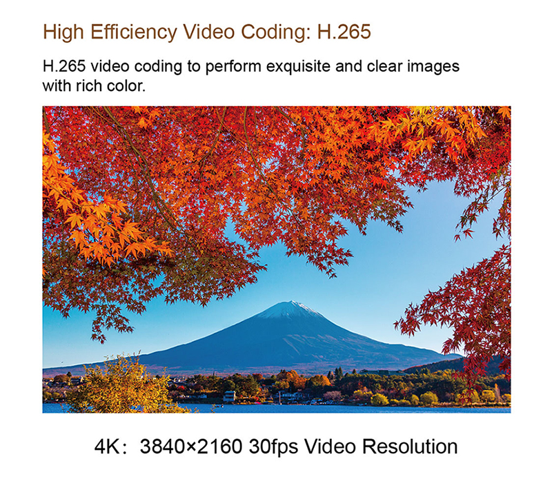 Быстрая доставка AZ50 4K 30fps H.265 профессиональная Ghost охотничья Прямая цифровая видеокамера