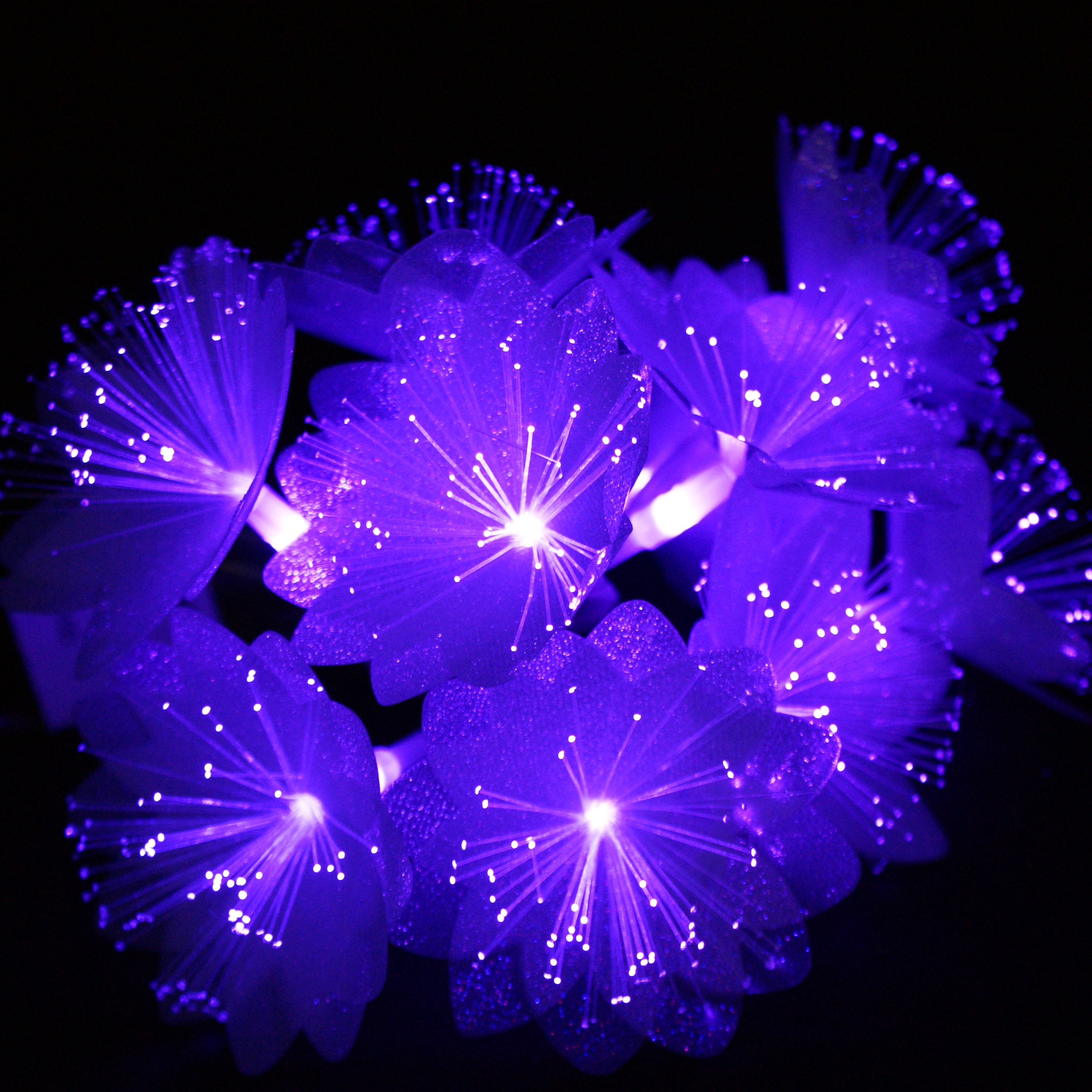 New Arrival Christmas optical fiber Flowers Decoration led Battery Operated Powder String /fairy /garland Light