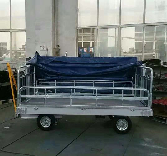 Тележка для багажа в аэропорту с оцинкованным навесом