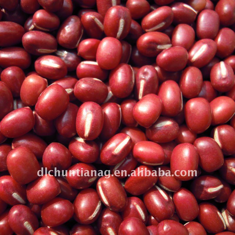 Маленькая красная фасоль/adzuki bean (органическая)
