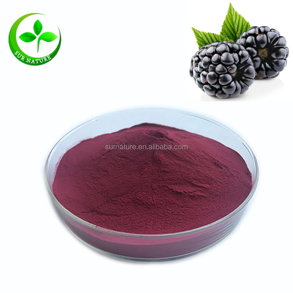 Organic Blackberry Powder Juice Anthocyanin Extract Blackberry Fruit Powder