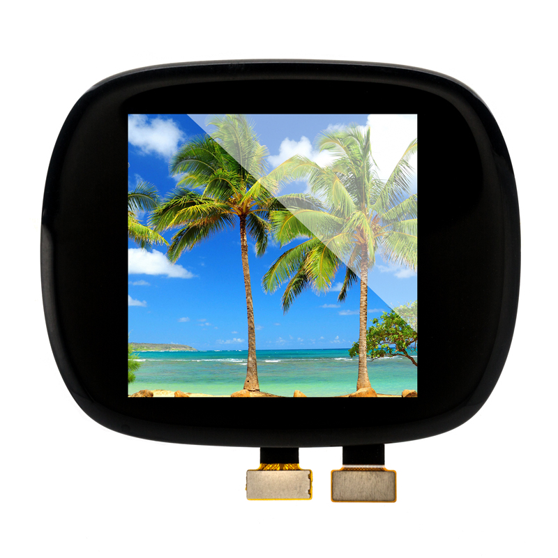 Цветная OLED-панель 1,63*320 320 с емкостным сенсорным экраном