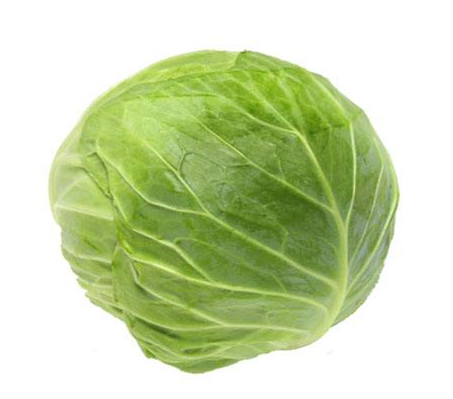 wholesale new crop round fresh Cabbage