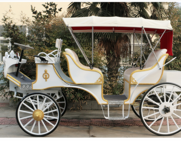 Double-Row Electric Horse-Drawn Carriage.