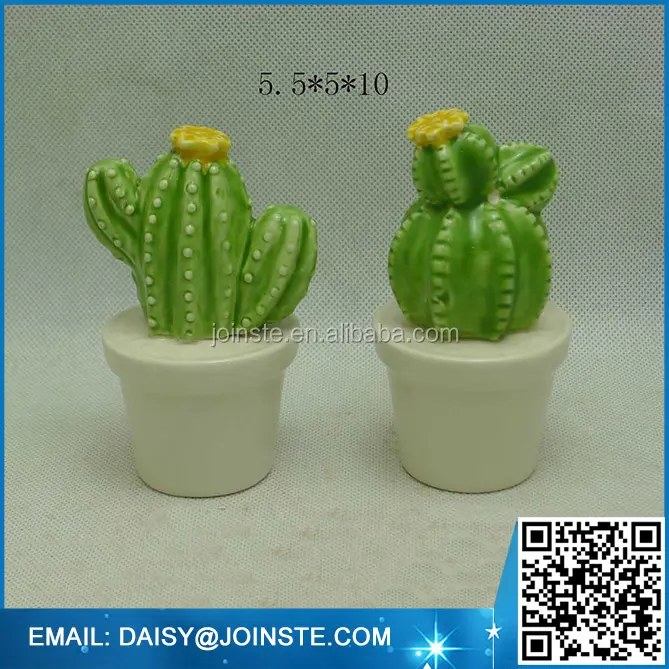 Mini Colorful Cactus Plants Thailand Baby Cactus Plant