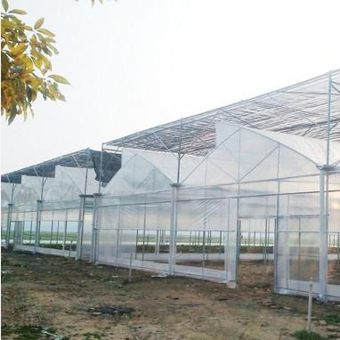 Sawtooth roof vent greenhouse reinforced plastic greenhouse for nursery