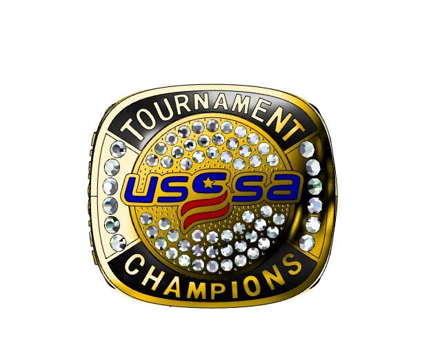 Пользовательский ваш дизайн США usssa TOURNAMENT финалистические чемпионы серебра