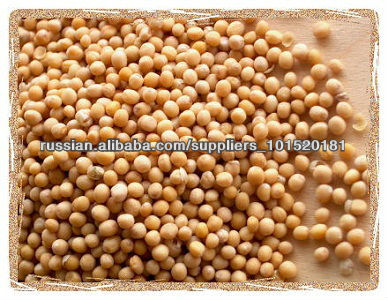 Mustard Seeds (Yellow, Red & Black)