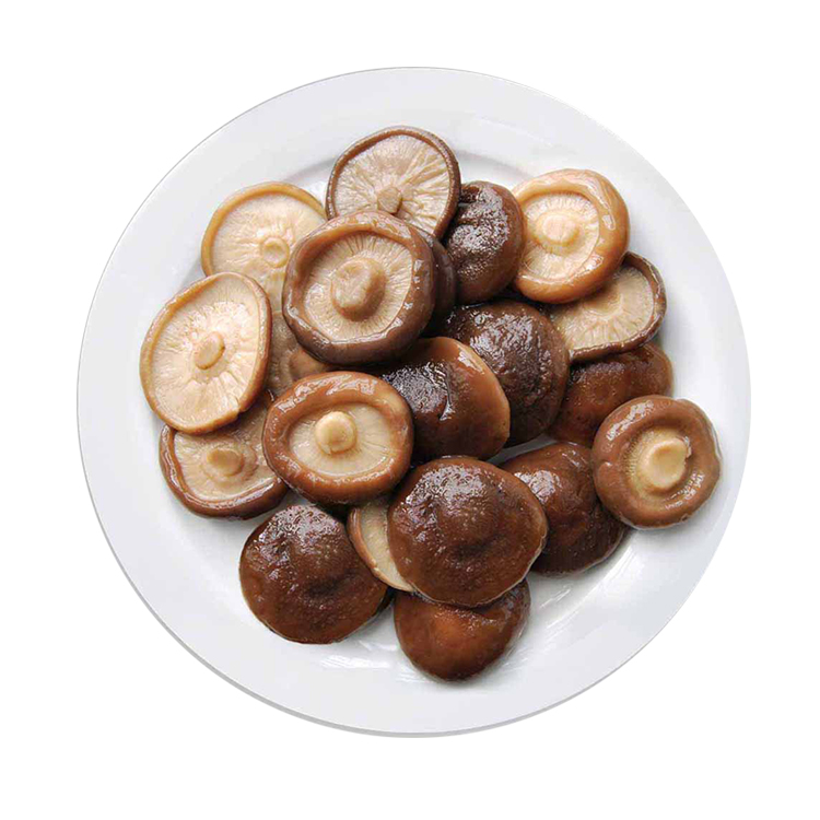 Весь бренный shiitake в барабане